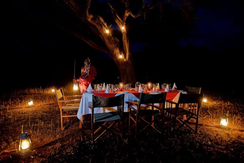 Private bush dinner under lantern light