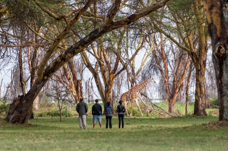 Walking & nature trails — Crescent Island · Hell's Gate · Aberdare · Chyulu