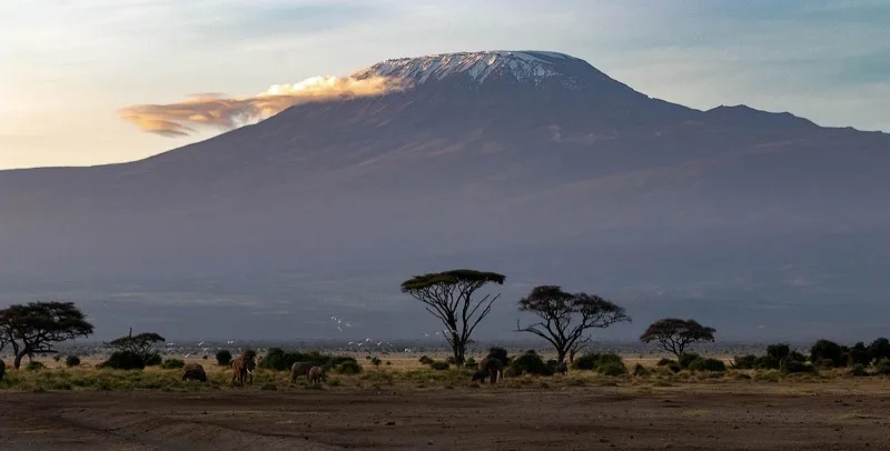 Amboseli photo 5