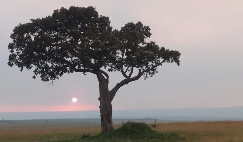 11-Day Kenya & Tanzania Migration Safari