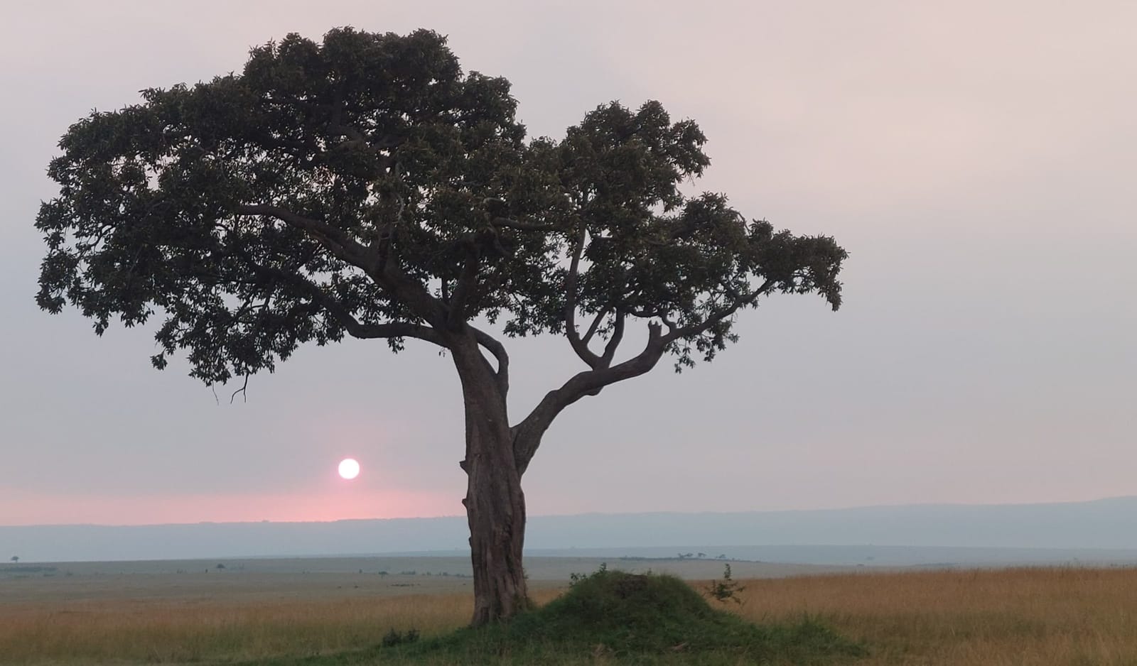 11-Day Kenya & Tanzania Migration Safari