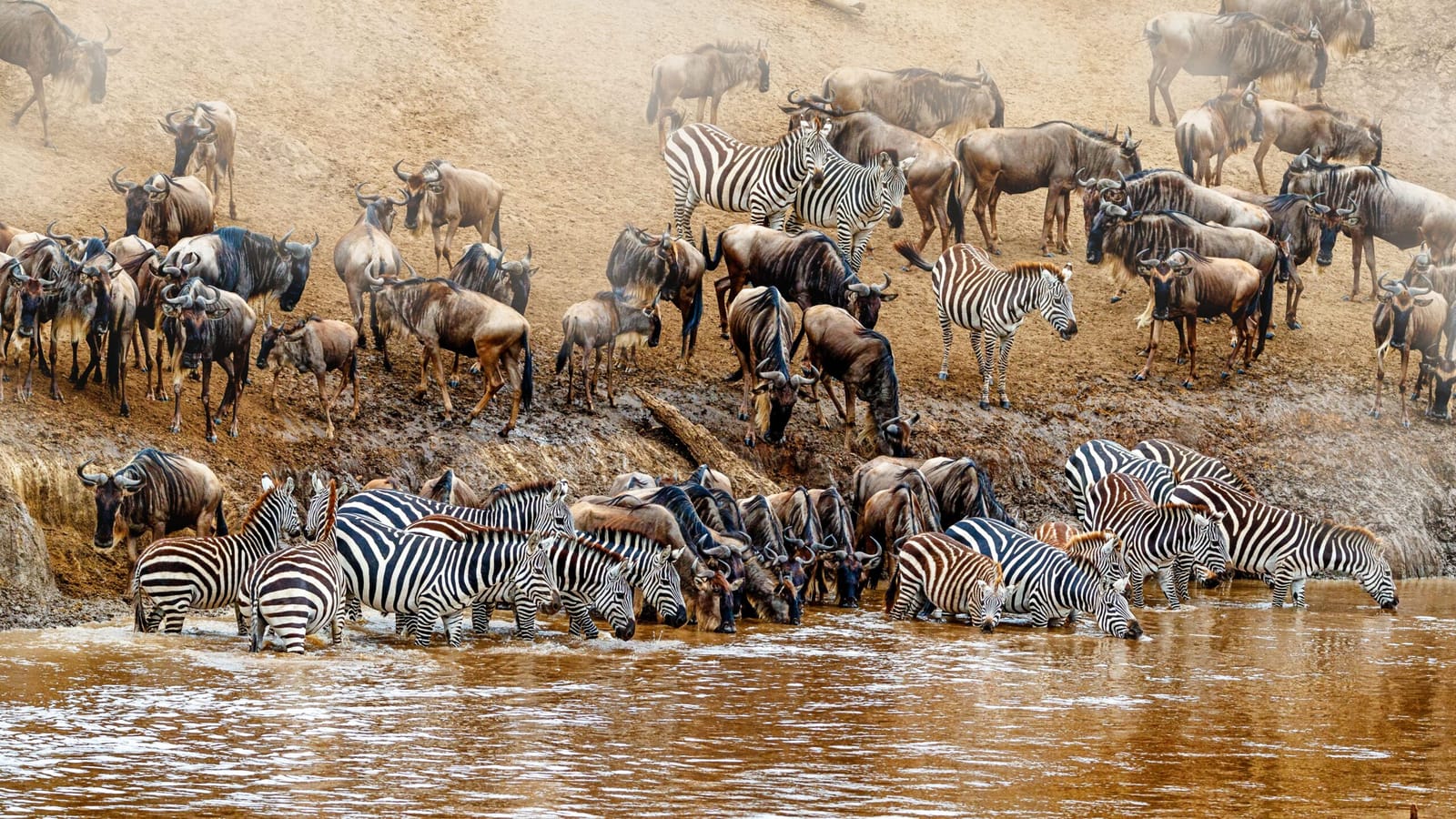 7-Day Mara, Serengeti & Ngorongoro Safari