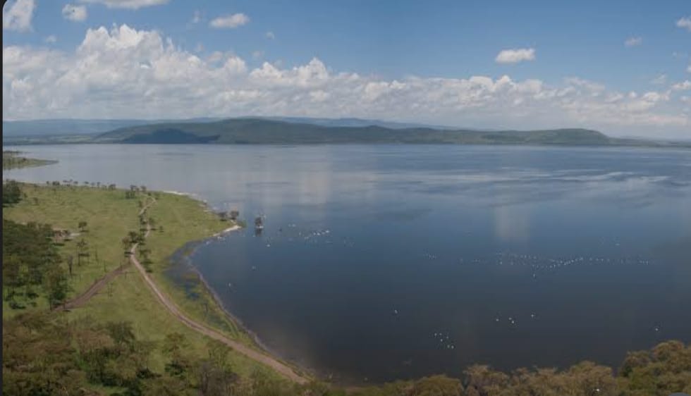 8-Day Ol Pejeta, Bogoria & Mara