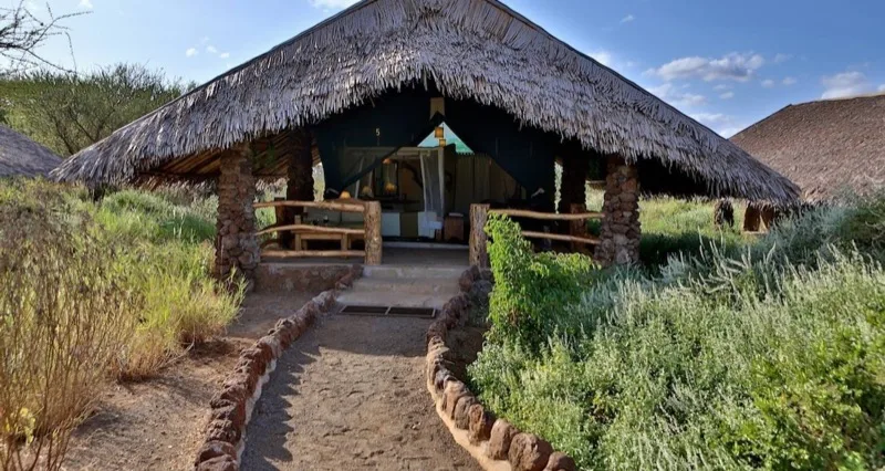 6-Day Northern Tanzania Safari