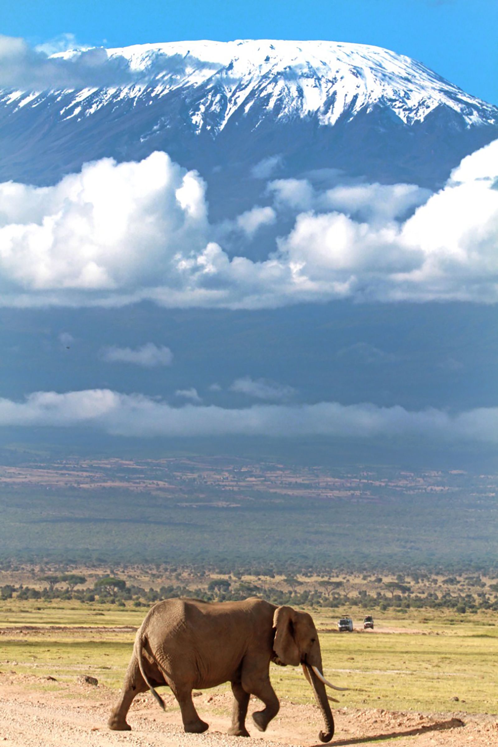 12-Day Kenya Complete