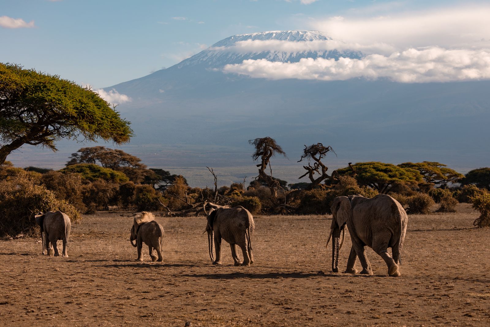 Amboseli & Coast