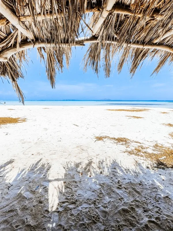 6-Day Tsavo & Diani