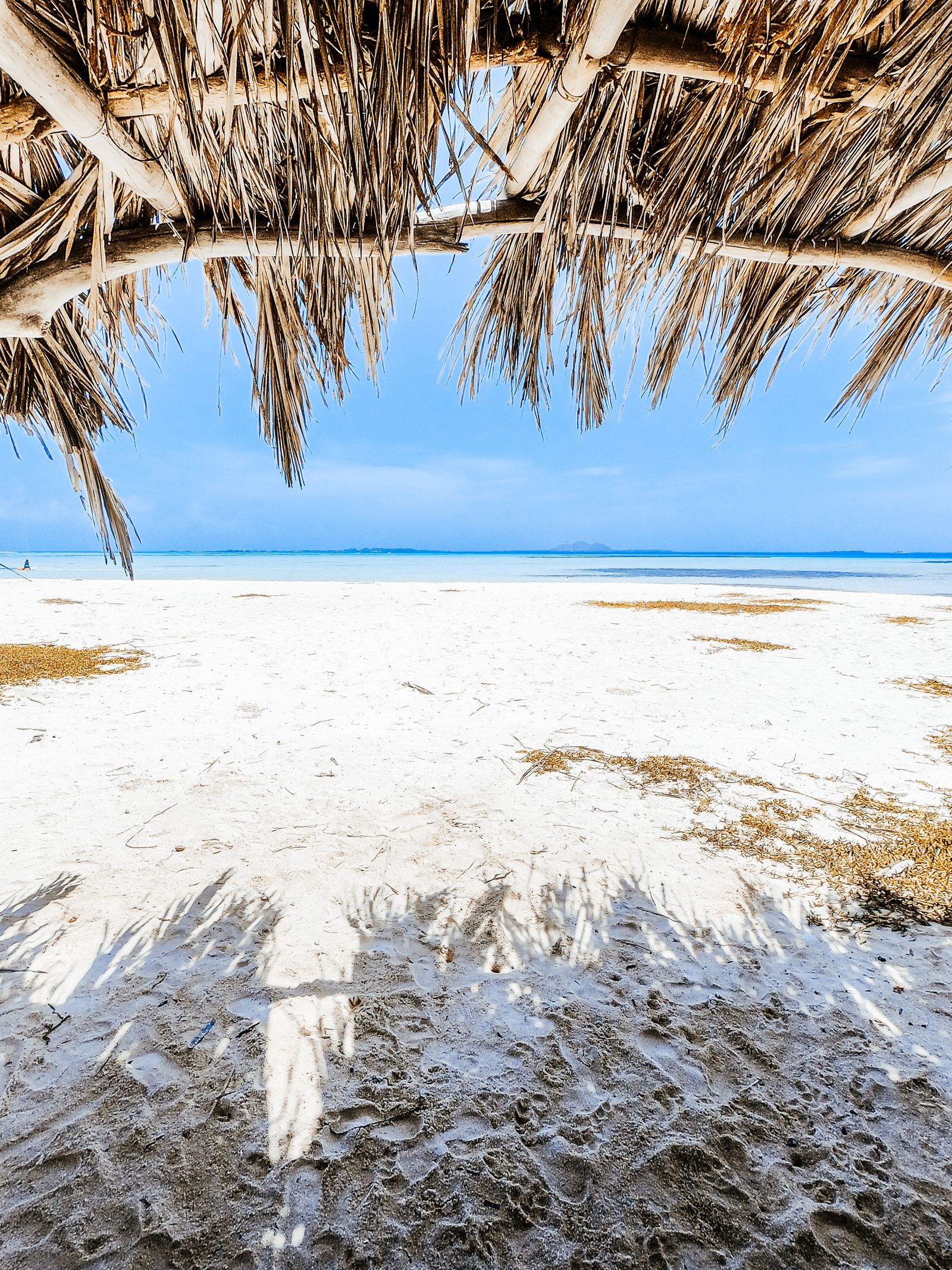 6-Day Tsavo & Diani