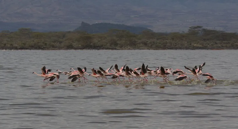 Naivasha & Hell's Gate