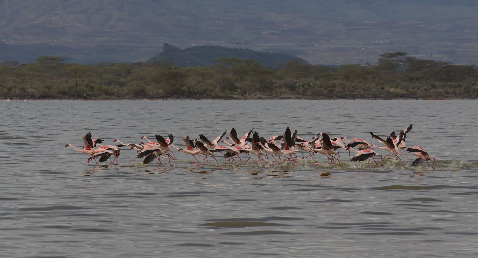 Naivasha & Hell's Gate
