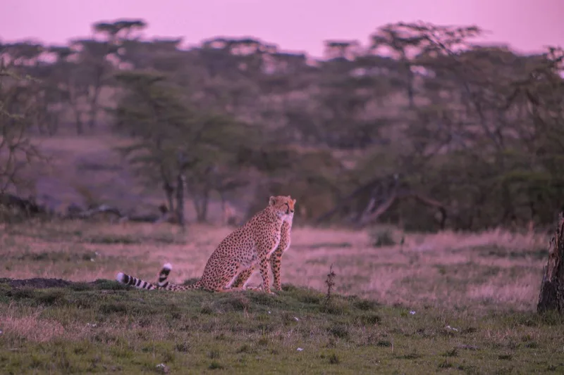 6-Day Mara, Nakuru & Naivasha