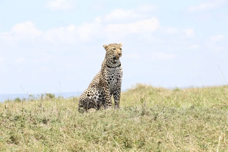 Maasai Mara photo 2
