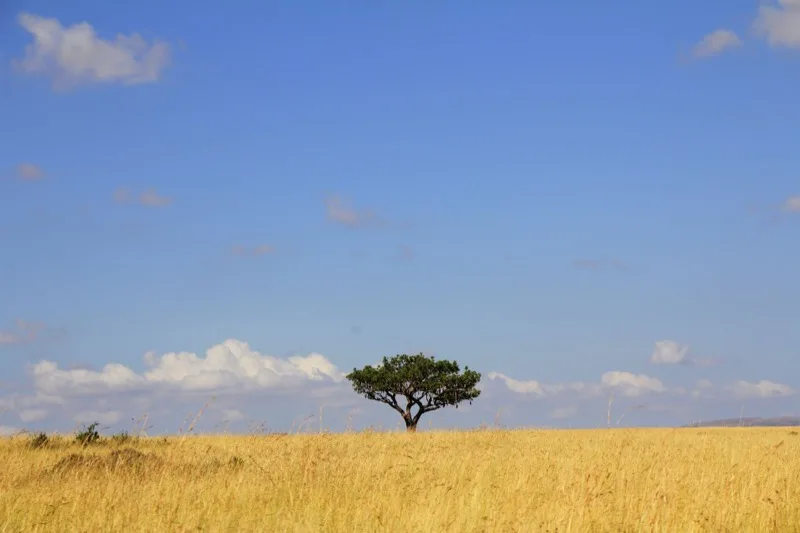 Chyulu Hills