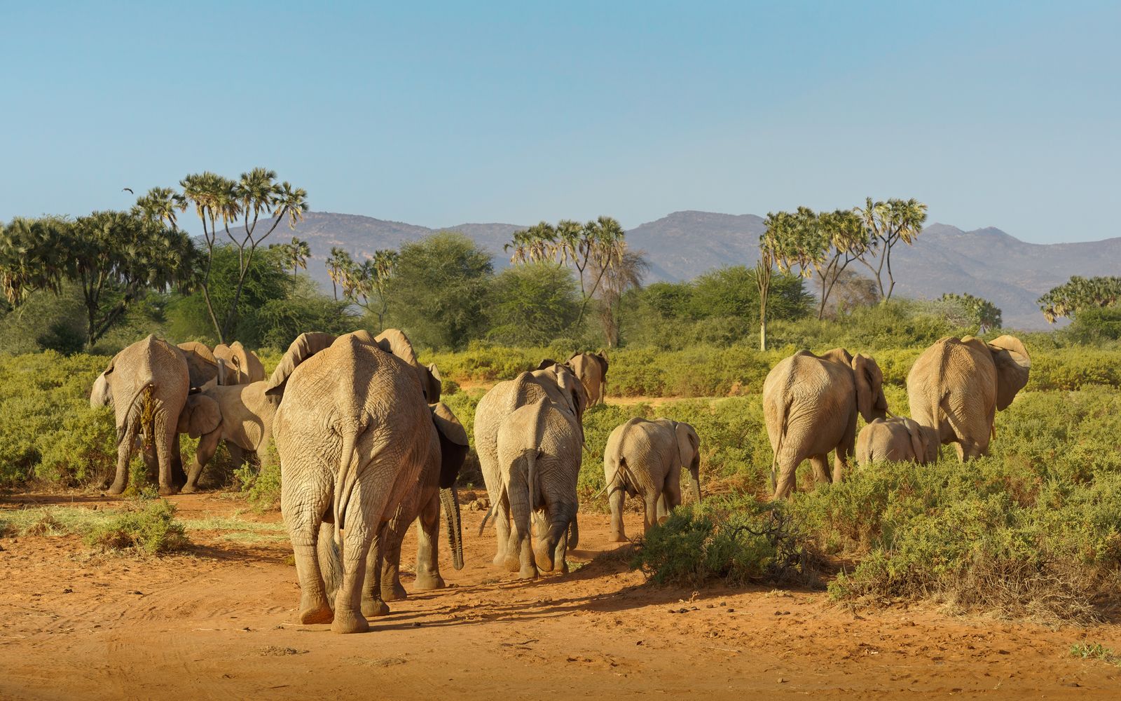 8-Day Northern Kenya