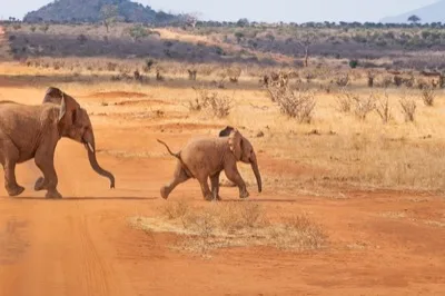Laikipia & Mt Kenya